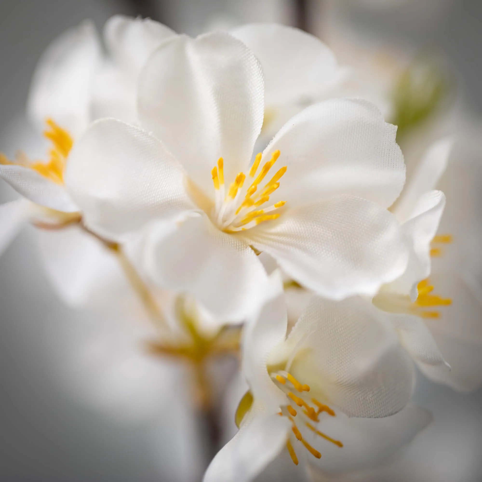 43"H Sullivans Crisp White Blossom Spray, White