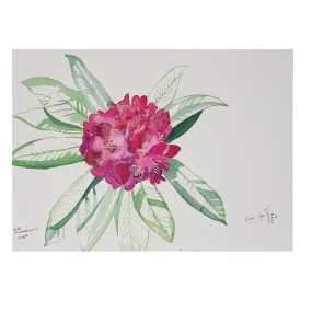 ORIGINAL WATERCOLOUR OF RHODODENDRON, INDIA - ANDREW LOGAN 2007