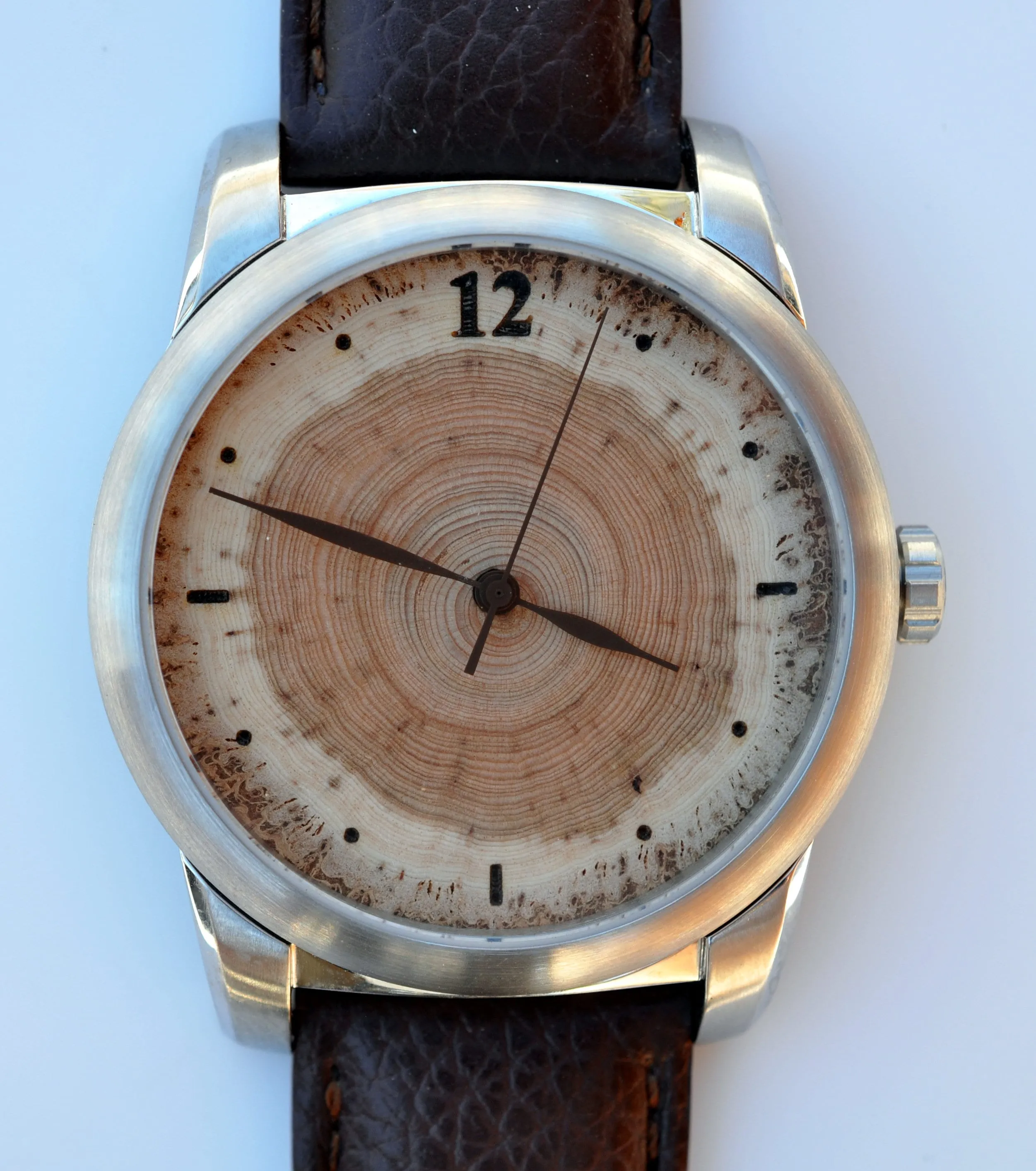 Tree Ring - 30 Years