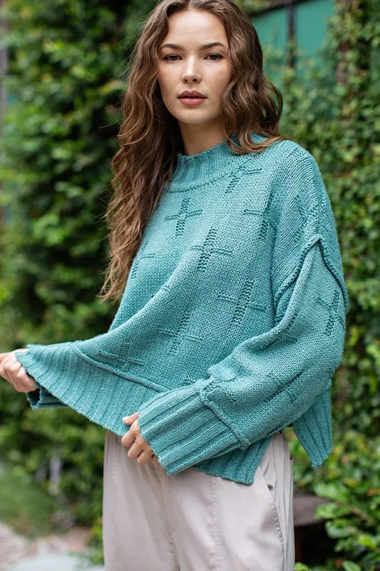 Turtle Neck Knit Top (DS)