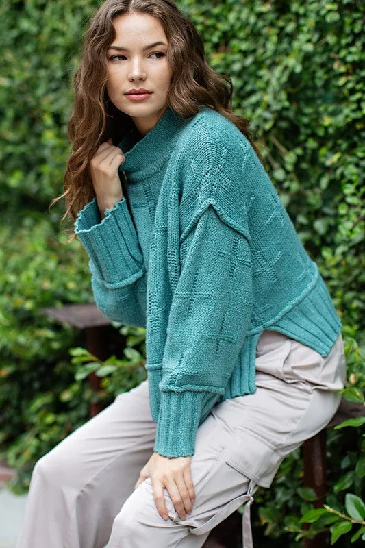 Turtle Neck Knit Top (DS)
