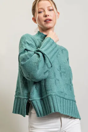 Turtle Neck Knit Top (DS)